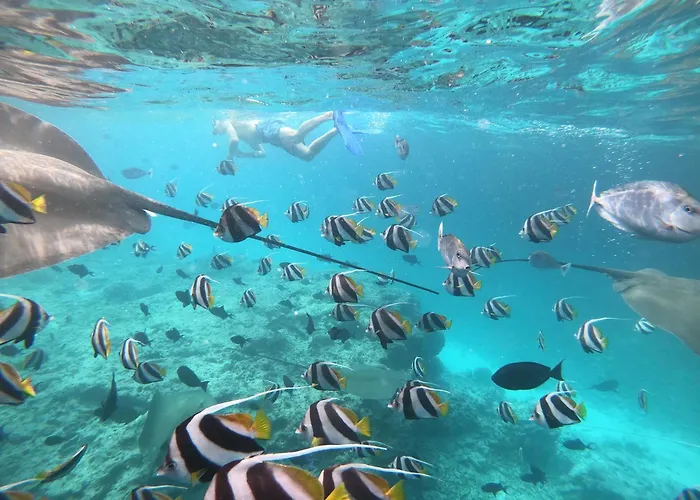 Pearl Sands Of Maldives
