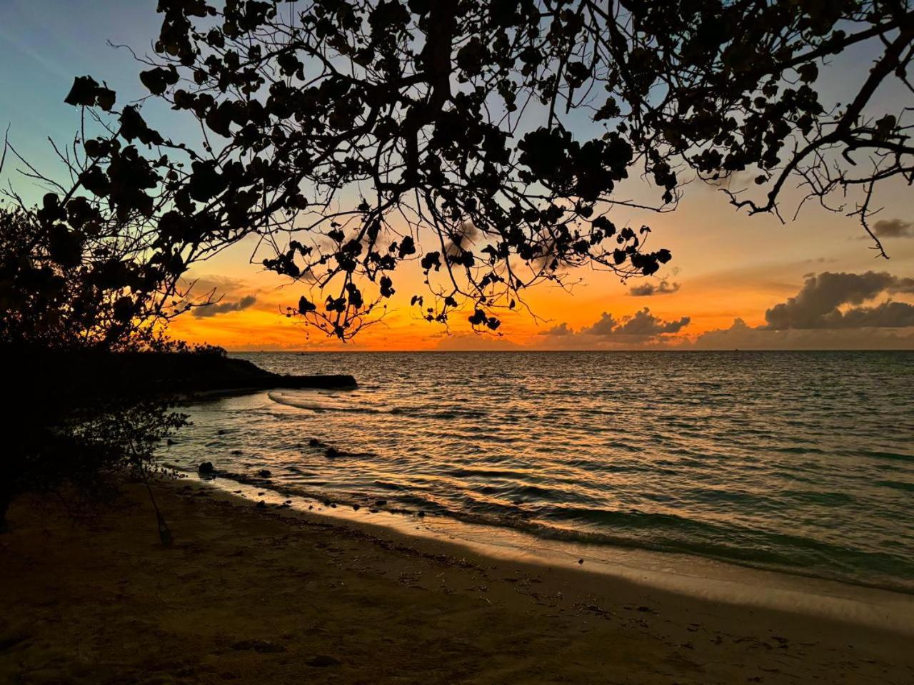 Affittacamere Pearl Sands Of Maldives Huraa