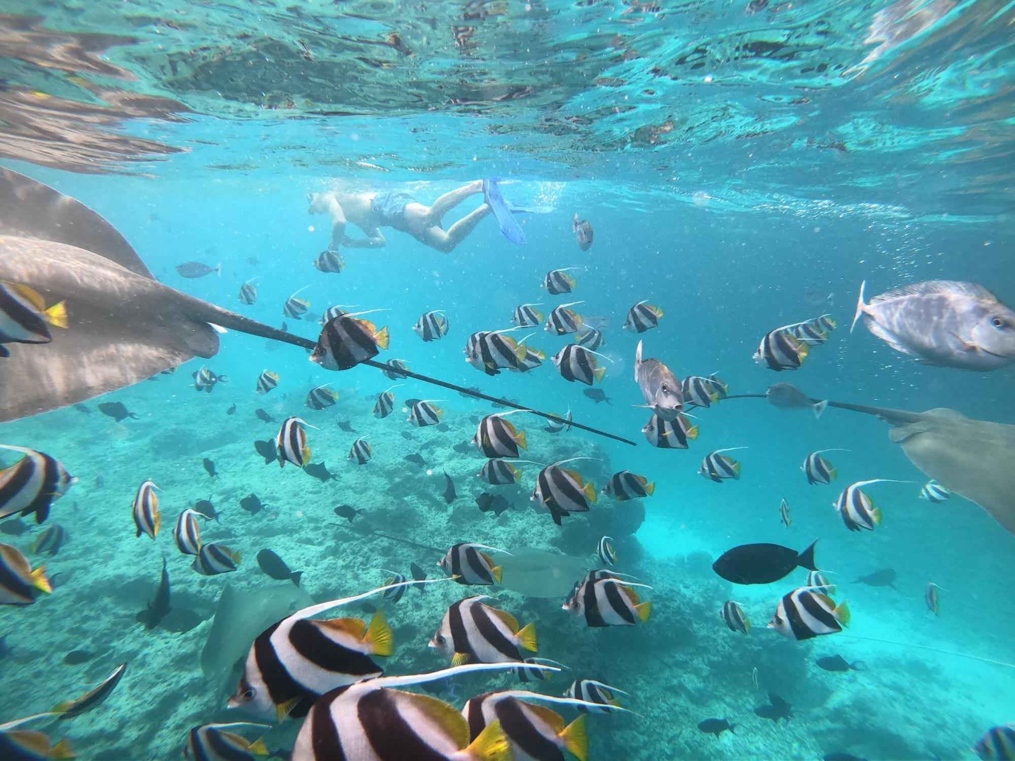 Guest house Pearl Sands Of Maldives Huraa